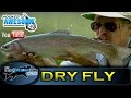 Dry fly fishing for Trout in Stillwaters - TAFishing Show
