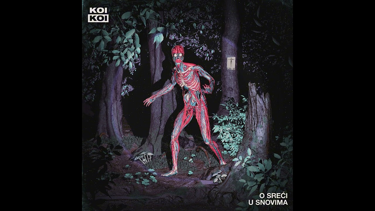 KOIKOI - Introjekcija