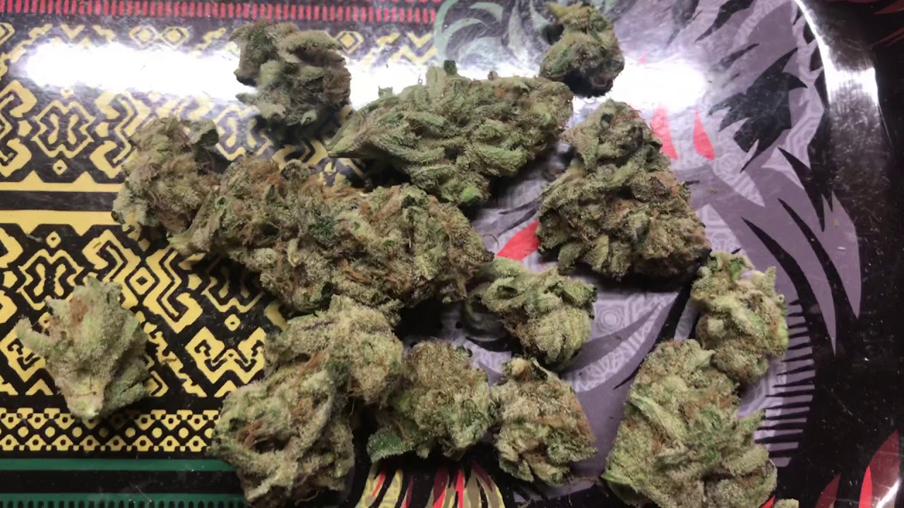 Dirty girl weed strain