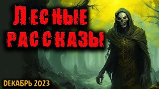 видео: ЛЕСНЫЕ РАССКАЗЫ | Страшные истории картинка: ЛЕСНЫЕ РАССКАЗЫ | Страшные истории