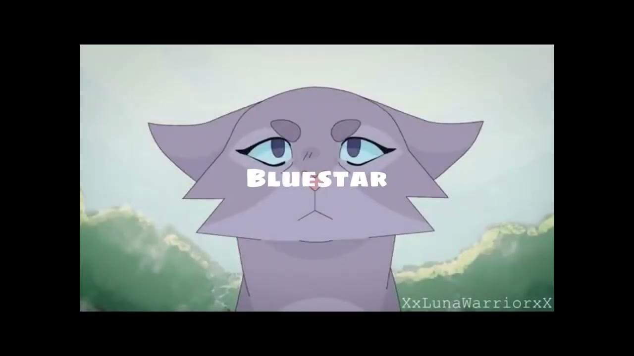 Top Nine Best Warrior Cats Leaders YouTube