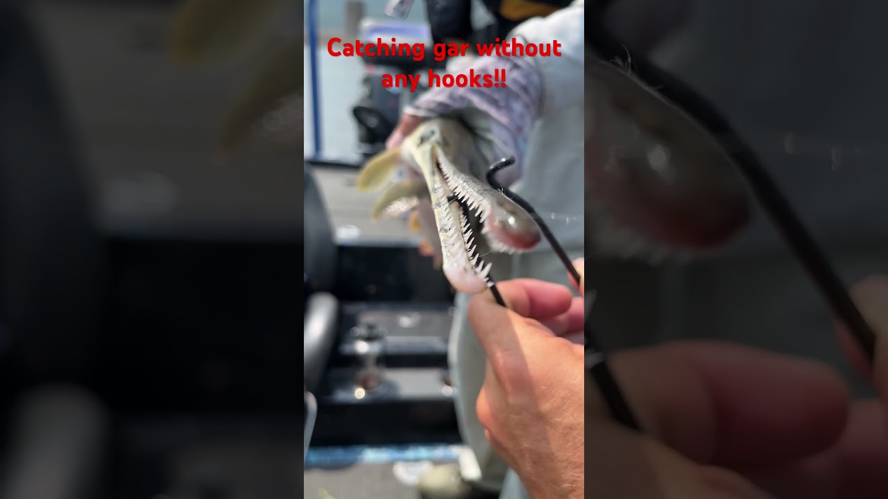 Ловля щуки без крючков!! 