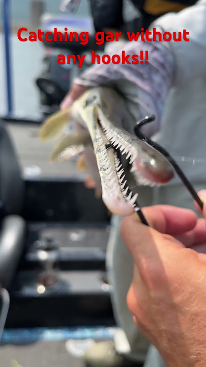 Catching Gar With NO Hooks!! #fishing #gar