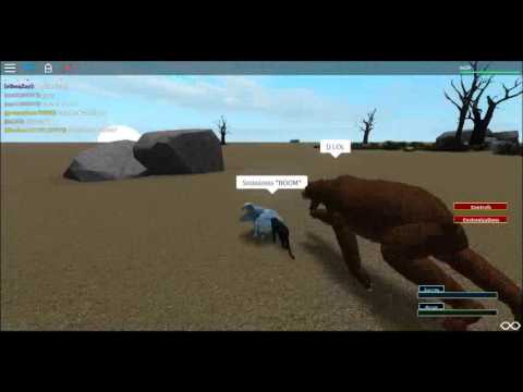 Animals Evreywhereroblox Survival - 