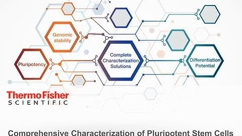 Comprehensive characterization of pluripotent stem cells