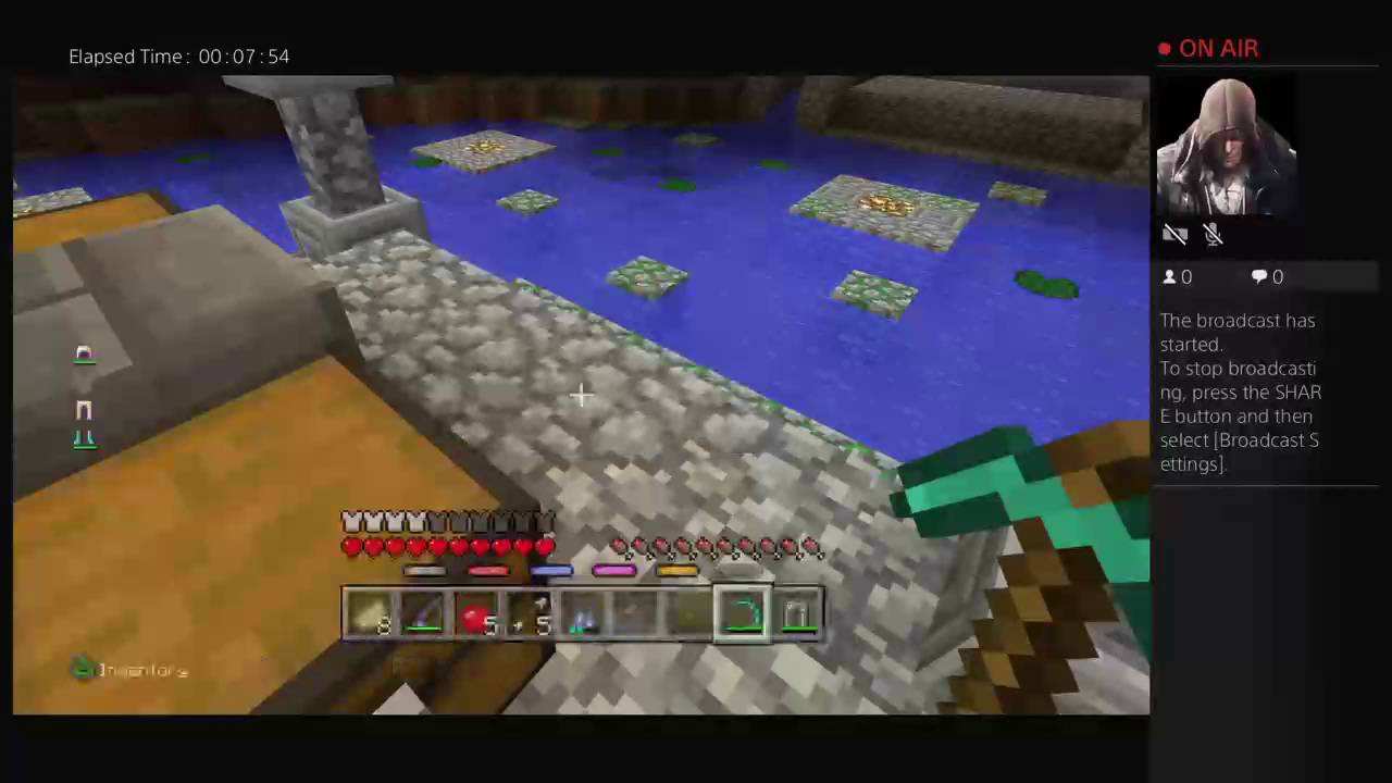 Minecraft Happy days