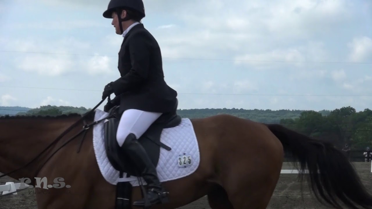 Julie Howard & Isn't She Sweet Millbrook Horse Trials 2017