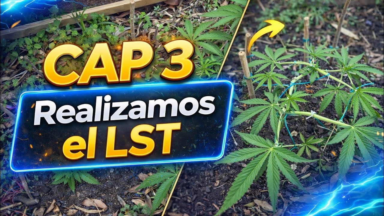 Cap 3 // Seguimiento Exterior