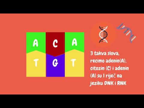 Video: Šta znači genetski kod?