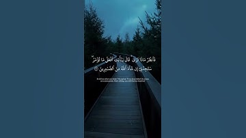 ﴿ وَقَالَ إِنِّي ذَاهِبٌ إِلَىٰ رَبِّي سَيَهْدِينِ...﴾[ سورة الصافات]