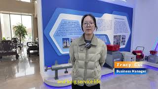 High Temperature Energy-Saving Explosion-Proof Liquid Pipeline Circulating Heater#customized