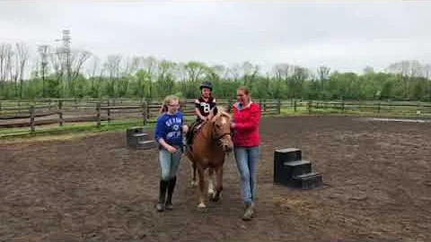 Chase horse ride