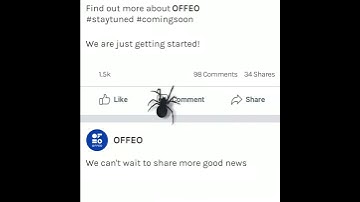 Spider Scroll-Stopper Video