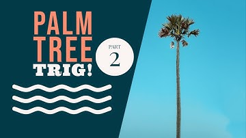 Trig challenge problem:  The Palm Tree Part 2