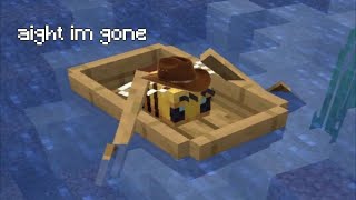 HiveMc in a nutshell