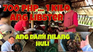 Lobster hunting at Casiguran aurora | Magkano ang mga seafoods  dito?