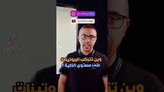 اين هو المقر الفعلي لعملية تركيب البروتين ؟ خلي اسم بروتين تعرفوا يتفرد في التعليقات 👇👇 #bac2024