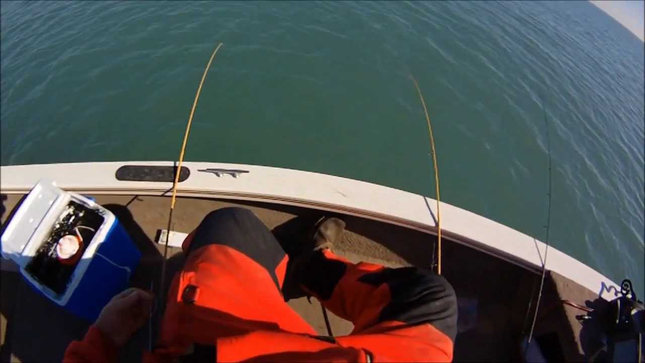 Lake Erie Perch fishing October 20, 2013 YouTube