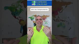 Confúcio fazia essa pergunta sobre a idade das pessoas