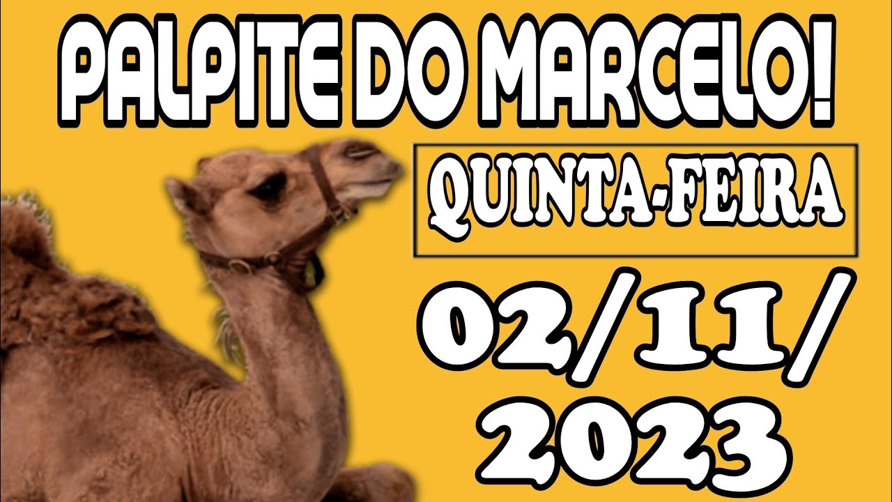 Palpite dia 01/11/2023 - JOGO DO BICHO TODAS AS LOTERIAS 