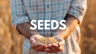 Seeds the Origin of Increase | Sean Swihart