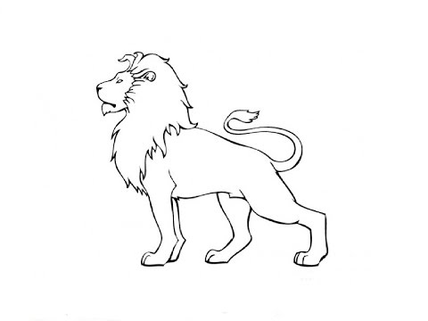 How to Draw a Lion / Как нарисовать Льва