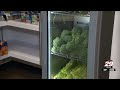 Proposed WIC cuts could impact Virginia families, food bank warns