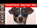 Pastel pencil Pet portrait (dog nose  blur) Jason morgan art