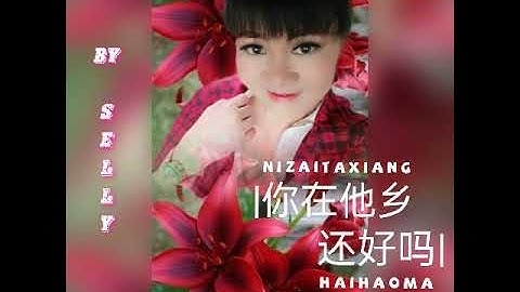 你在他乡还好吗  DJ【 NI ZAI TA XIANG HAI HAO MA 】HOW ARE YOU IN A FOREIGN COUNTRY ••••• COVER  BY  SELLY ☆☆☆
