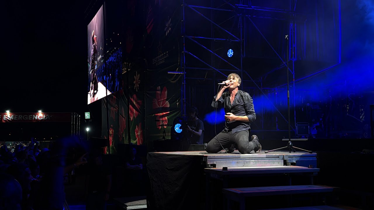 激レア　Suede Live DVD スウェード 激レア Suede Live DVD スウェード ライブ 激レア Suede Live