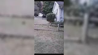 West Hartford residents say they are under siege by big biting rats