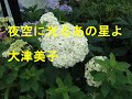 夜空に光るあの星よ/大津美子♪Cover♪。毎日配信