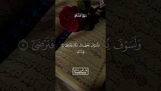 Download Lagu 06 | Surah Ad’Duha - سورة الضحى | Mohamiddin Mamaluba -محام الدين مامالوبا 🤍🤍🤍 MP3