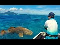 Pecanje na okeanu kod ostrva Vanuatu II deo | Fishing in ocean near Vanuatu 2 - jigging, popping