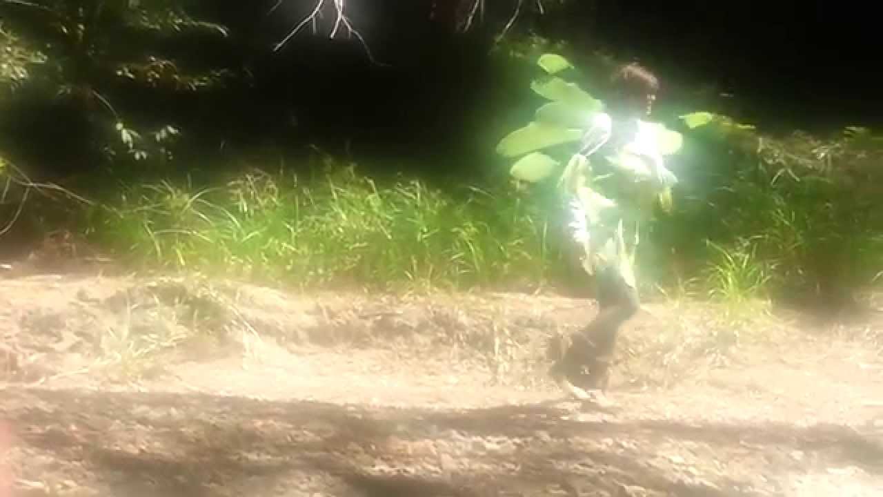 Woodland Nymph of Mendocino