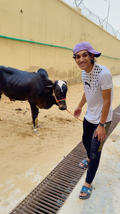 Moo 🐮 Hunger To Burger 🥰|
