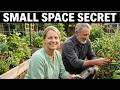 5 Crops That Grow Fast Even in Small Spaces