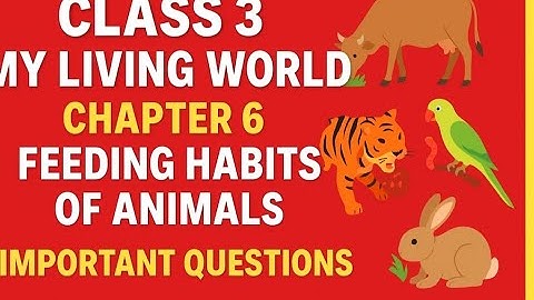DAV Class3 chapter 6 Feeding habits of Animals My Living World
