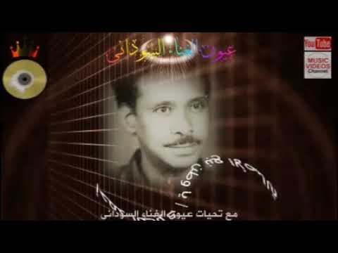 احمد الجابري ياوطن نبع الاصاله