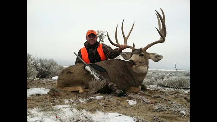 Giant 200" Typical Mule Deer DIY Eastern Colorado