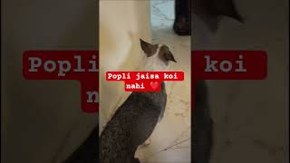 #doglover# mare#pyari#popli#🥰❤️