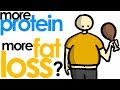 MORE vs LESS PROTEIN For Fat Loss