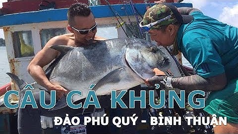 Câu cá khủng ở đảo Phú Quý Phan Thiết Bình Thuận(Sea fishing)