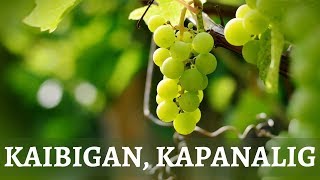 Video thumbnail of "KAIBIGAN, KAPANALIG | Bukas Palad"