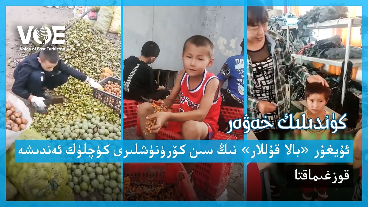 شەرقىي تۈركىستان ئاۋازى كۈندىلىك خەۋەر 2021 – يىلى18– ئاۋغۇست Sherqiy Türkistan Awazi kündilik xewer