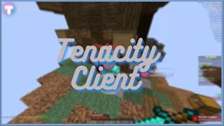 Tenacity Client Insane Bypasses Fly, Speed Teleport on Hypixel | Full Review + Commentary!