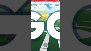 Mega beedrill fights pokemon go