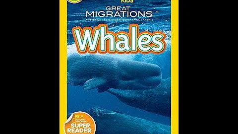 Nat Geo Kids: Great Migrations  Whales