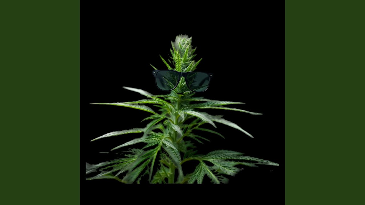 "CHILLIN" Rap-Trap West Coast X Cali | Freestyle Type Beat 2025