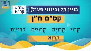 לשון לתיכון – גזרת נחי ל